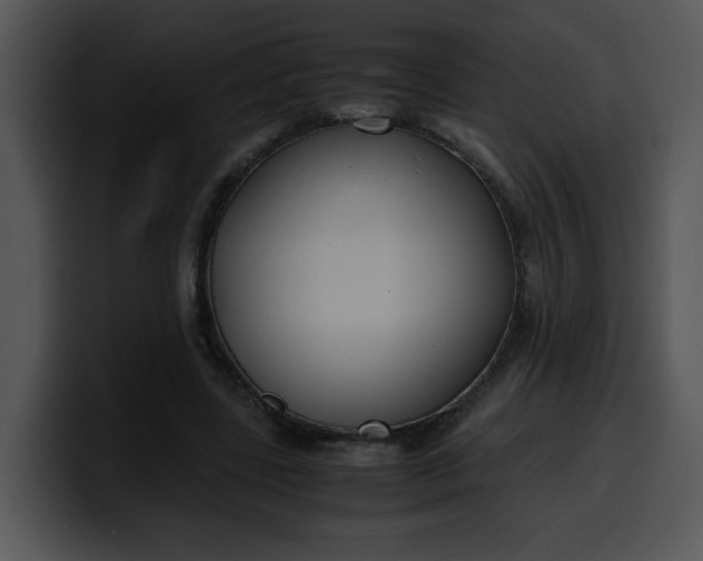 X0000099990539200806061546