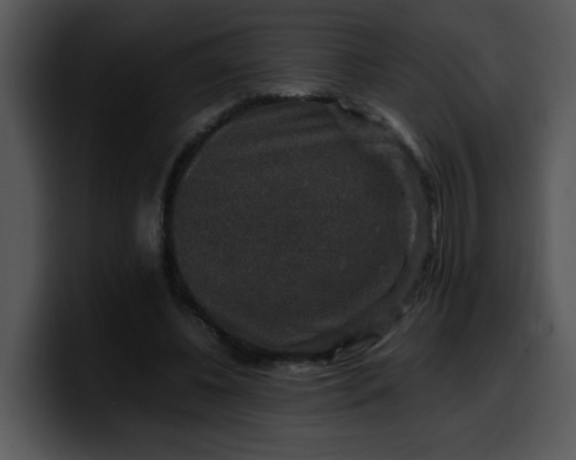 X0000099990540200806061546