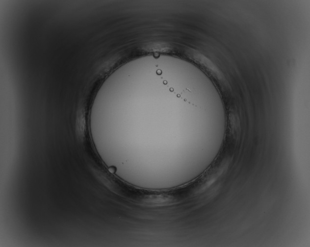 X0000099990541200806061546