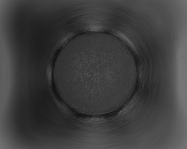 X0000099990542200806061546