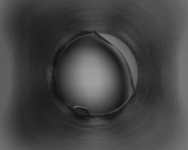 X0000099990544200806061546