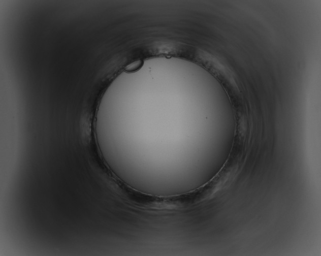 X0000099990545200806061546