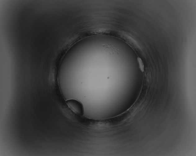 X0000099990546200806061546