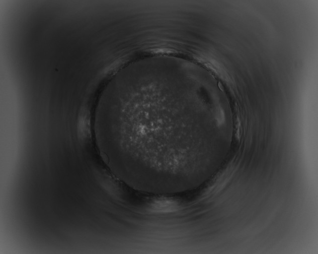 X0000099990547200806061546