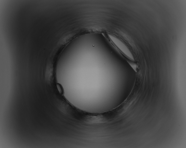 X0000099990548200806061546