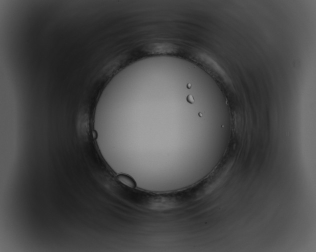 X0000099990549200806061546