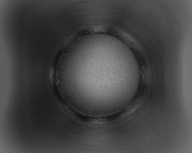 X0000099990550200806061546