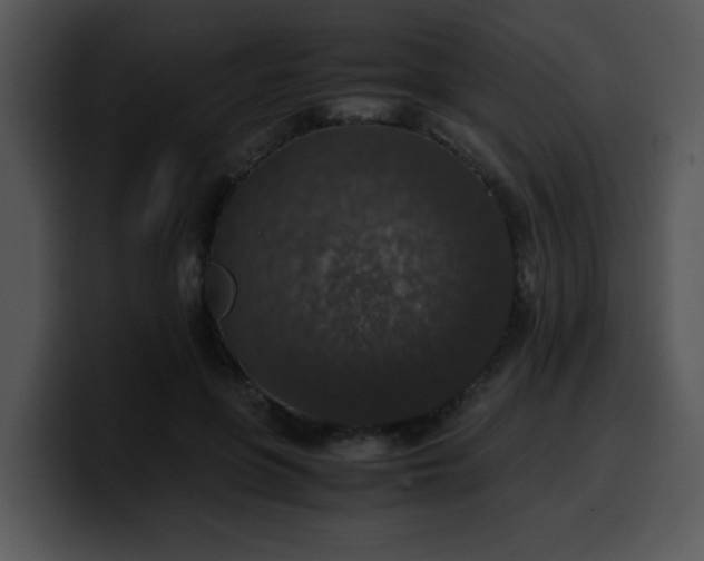 X0000099990551200806061546