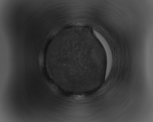 X0000099990552200806061546