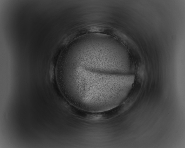 X0000099990554200806061546