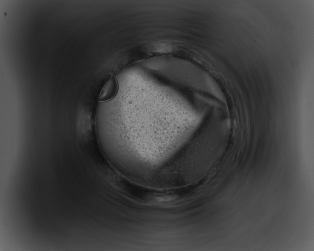 X0000099990555200806061546