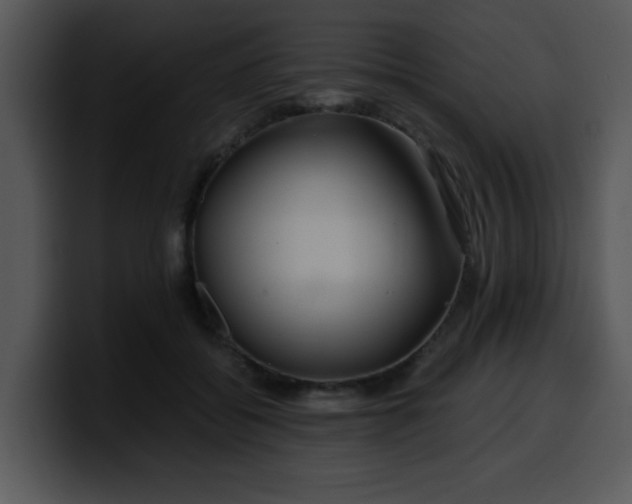 X0000099990556200806061546