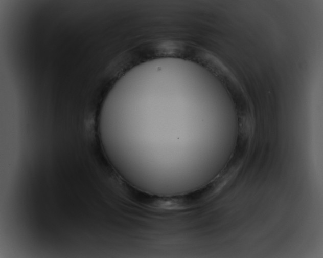 X0000099990557200806061546