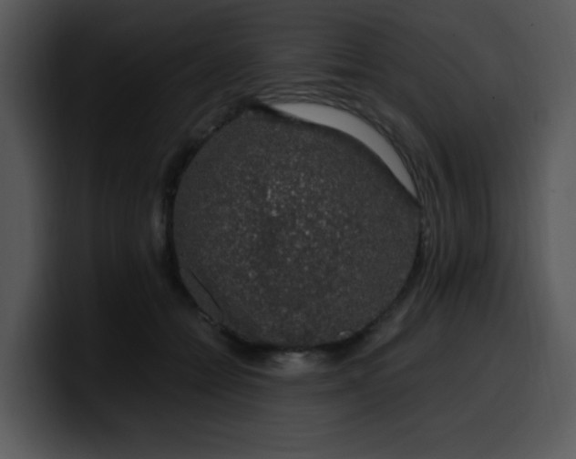 X0000099990558200806061546