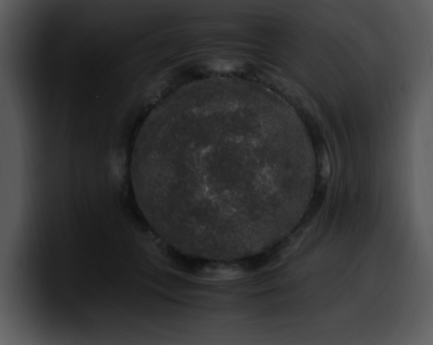 X0000099990559200806061546