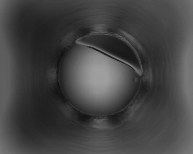 X0000099990560200806061546