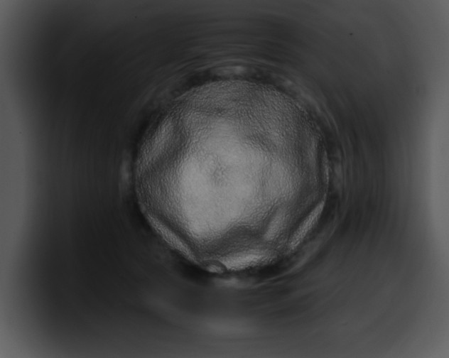 X0000099990561200806061546