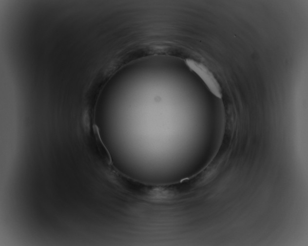 X0000099990562200806061546