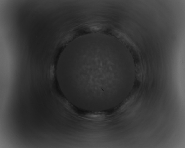 X0000099990563200806061546