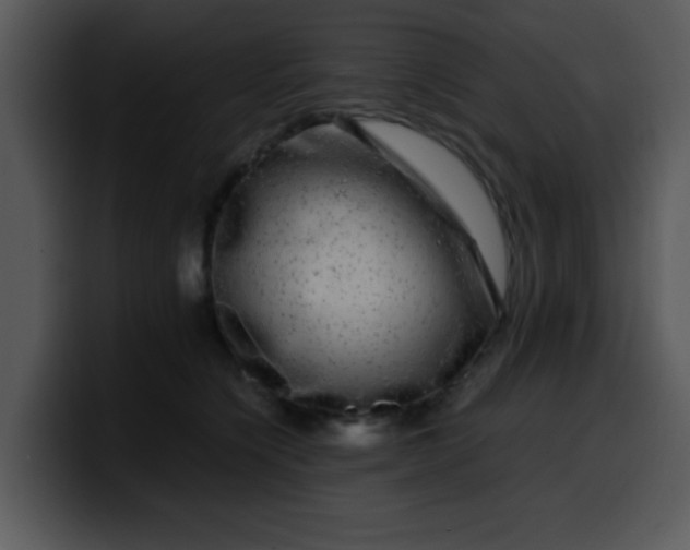 X0000099990564200806061546