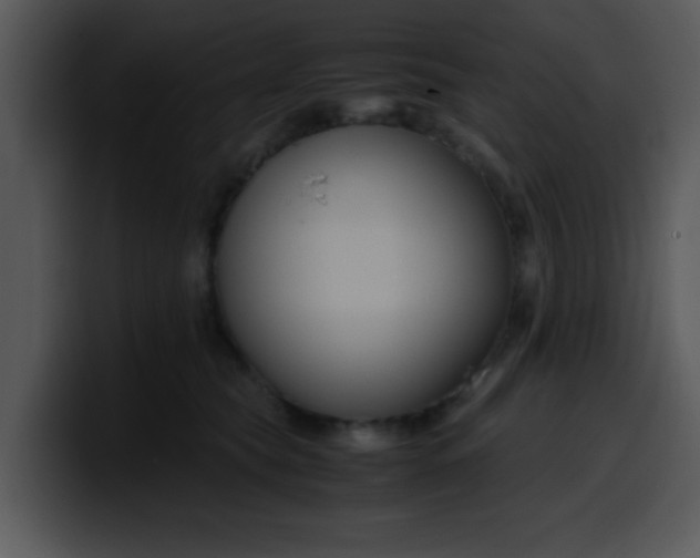 X0000099990565200806061546