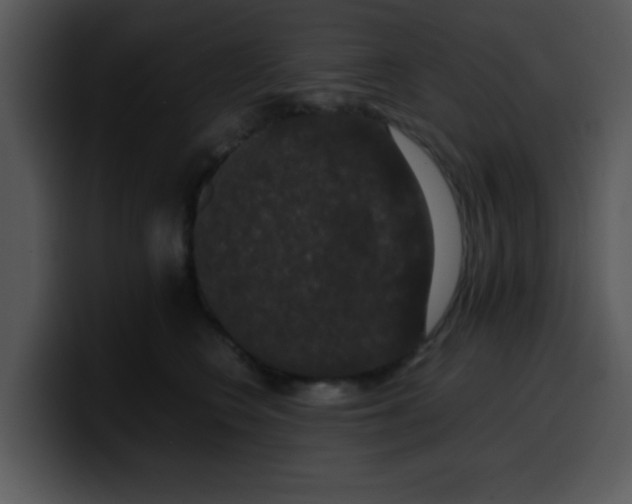 X0000099990566200806061547