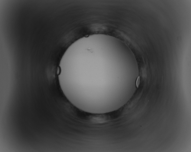 X0000099990567200806061547