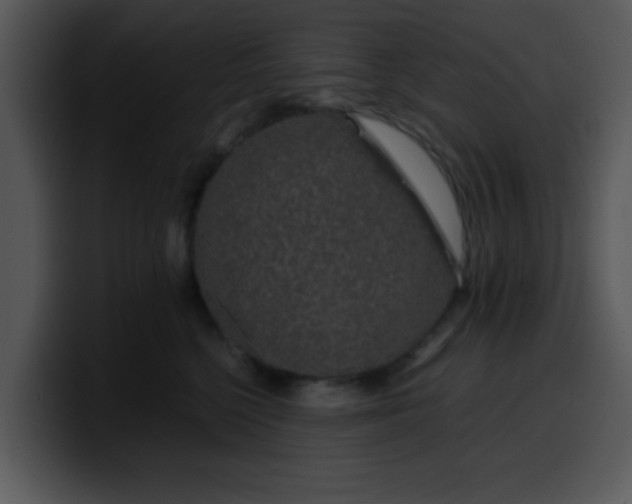 X0000099990568200806061547