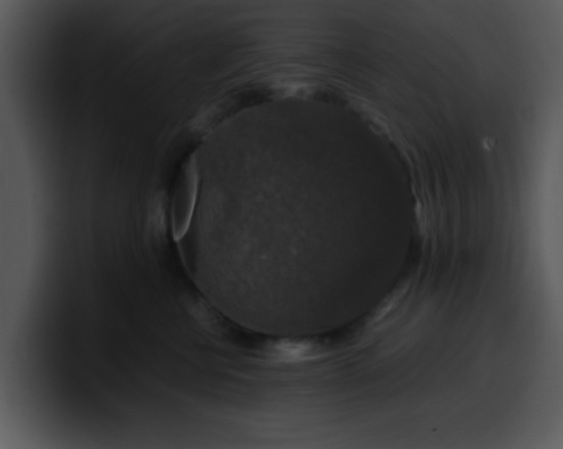 X0000099990570200806061547