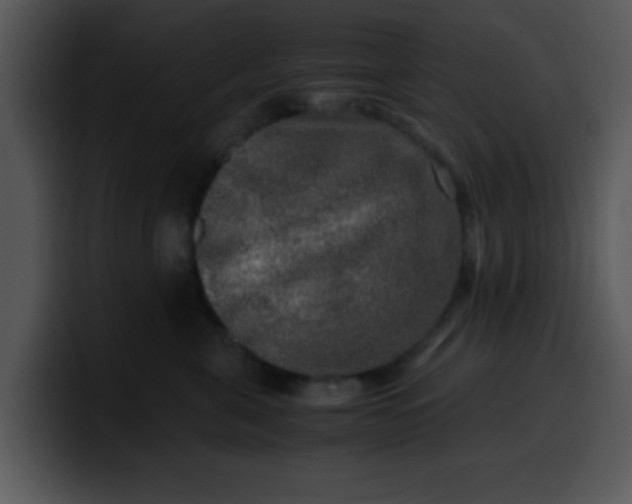 X0000099990571200806061547