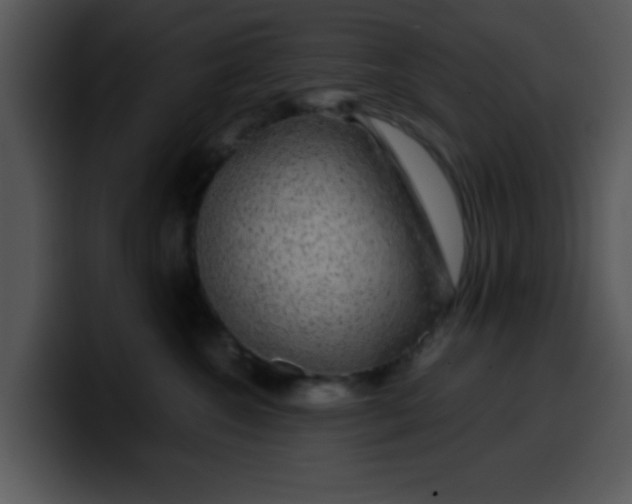 X0000099990572200806061547