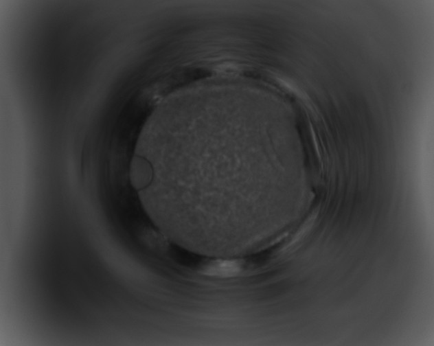 X0000099990573200806061547