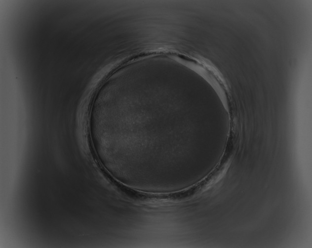 X0000099990577200806061546