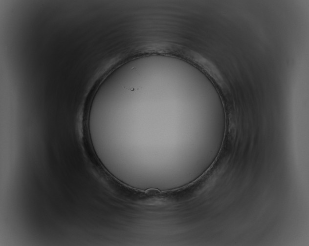 X0000099990578200806061546