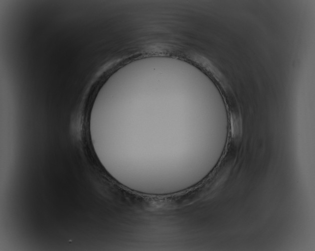 X0000099990579200806061546