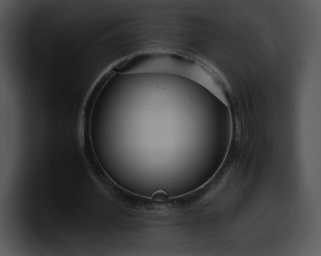 X0000099990580200806061546