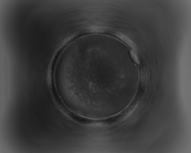 X0000099990581200806061546