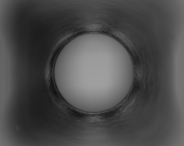 X0000099990583200806061546