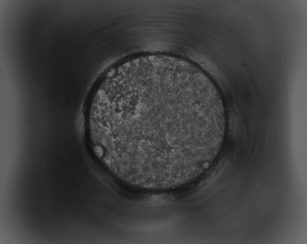 X0000099990584200806061546