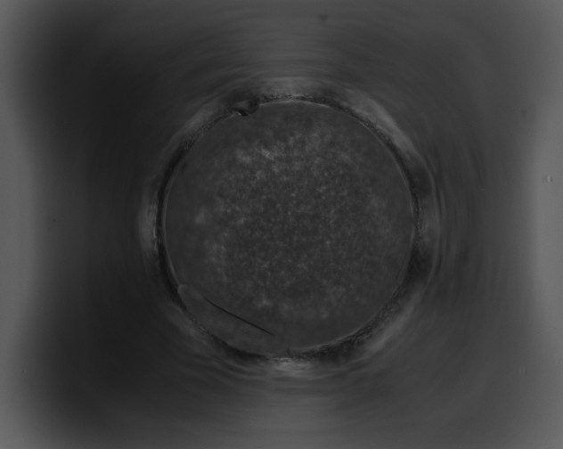 X0000099990585200806061546