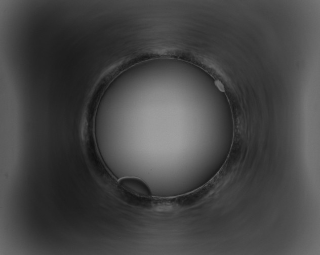 X0000099990587200806061546