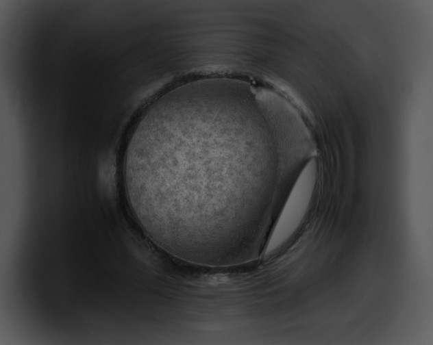 X0000099990588200806061546