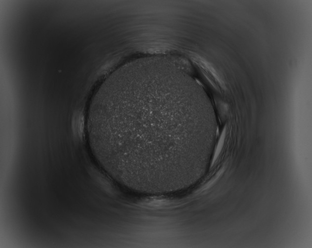 X0000099990589200806061546