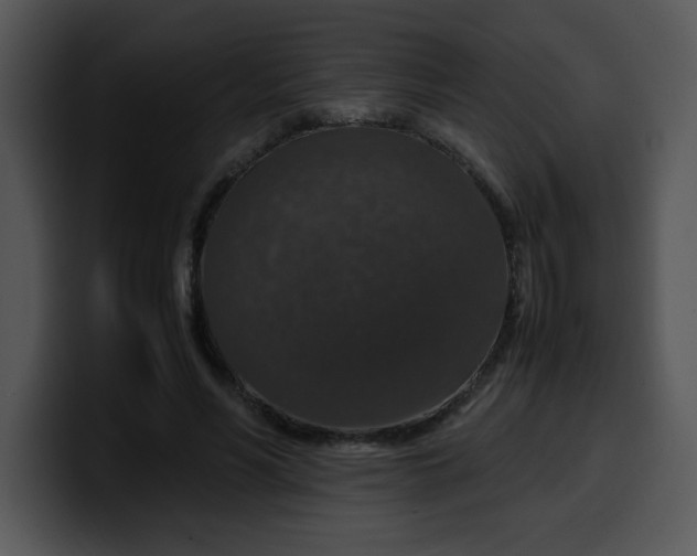 X0000099990590200806061546