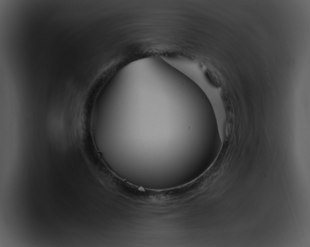 X0000099990591200806061546