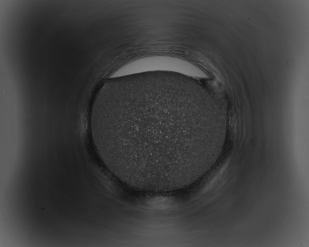 X0000099990593200806061546