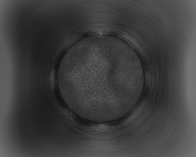 X0000099990594200806061546