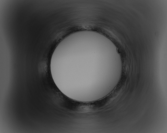 X0000099990595200806061546