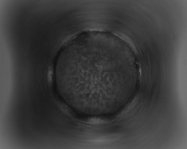 X0000099990596200806061546