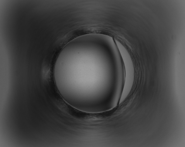 X0000099990597200806061546